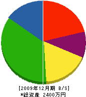 杉山鑿泉工業 貸借対照表 2009年12月期