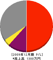八木橋建業 損益計算書 2009年12月期