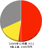 ノゾエ産業 損益計算書 2009年12月期