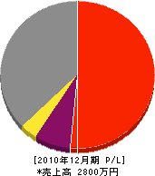 沖島工業 損益計算書 2010年12月期