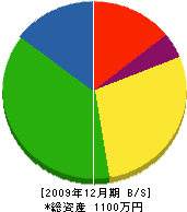 十川建設 貸借対照表 2009年12月期