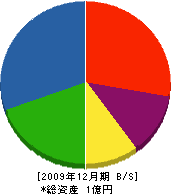 久保田電音 貸借対照表 2009年12月期