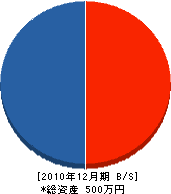 晃栄電気工事 貸借対照表 2010年12月期