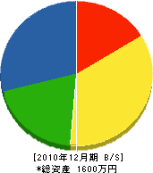 丸岡工業 貸借対照表 2010年12月期