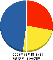 佐藤建築 貸借対照表 2009年12月期