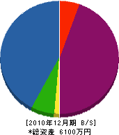 丸山鉄工所 貸借対照表 2010年12月期