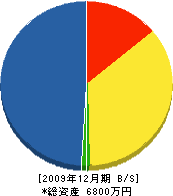 ＳＵＮ頼’Ｓ 貸借対照表 2009年12月期