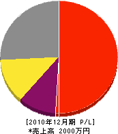 櫻電設 損益計算書 2010年12月期