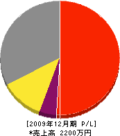 津軽建築塗装店 損益計算書 2009年12月期