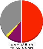 伊藤建設 損益計算書 2009年12月期