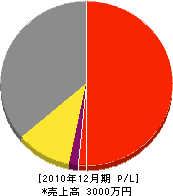 岩田産業 損益計算書 2010年12月期