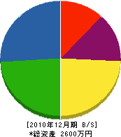 斎藤建築 貸借対照表 2010年12月期