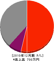 廣川工務店 損益計算書 2010年12月期