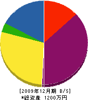 大陽 貸借対照表 2009年12月期