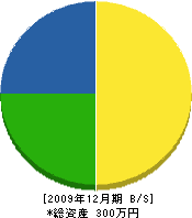 川本建設 貸借対照表 2009年12月期