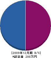 藤田造園 貸借対照表 2009年12月期