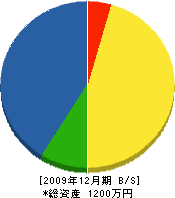 松岡電機商会 貸借対照表 2009年12月期