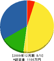 須﨑工務店 貸借対照表 2009年12月期
