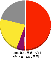 新開組 損益計算書 2009年12月期 新開組 損益計算書 2009年12月期