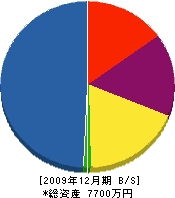 村中組 貸借対照表 2009年12月期
