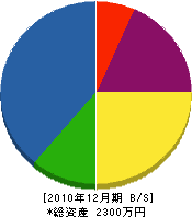 藤沢建設 貸借対照表 2010年12月期