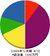 松尾造園 貸借対照表 2009年12月期