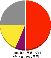 佐久電工 損益計算書 2009年12月期