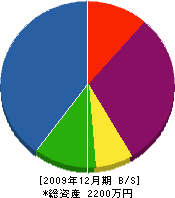 松田翠清園造園土木 貸借対照表 2009年12月期