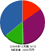 松村塗装店 貸借対照表 2009年12月期