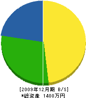 豊田造園 貸借対照表 2009年12月期