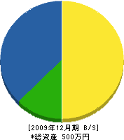 井口工務店 貸借対照表 2009年12月期