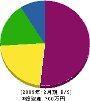 丸田建設 貸借対照表 2009年12月期