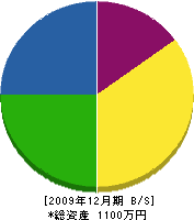 藤生造園 貸借対照表 2009年12月期