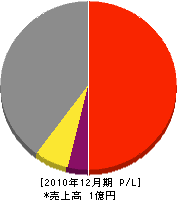 藤井工務店 損益計算書 2010年12月期