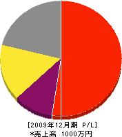 冨田畳店 損益計算書 2009年12月期