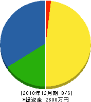 西島電気商会 貸借対照表 2010年12月期