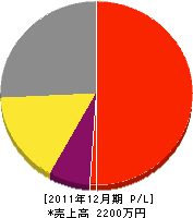 櫻デンキ 損益計算書 2011年12月期