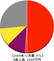 江藤ペンキ店 損益計算書 2009年12月期
