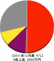島津電業社 損益計算書 2011年12月期