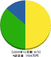 寺山造園 貸借対照表 2009年12月期