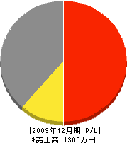 ＮＫコ－ポレ－ション 損益計算書 2009年12月期
