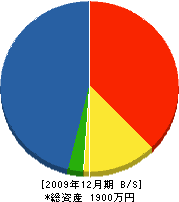 丸宗土建 貸借対照表 2009年12月期