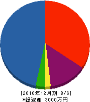 寺島組 貸借対照表 2010年12月期