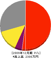 櫻デンキ 損益計算書 2009年12月期