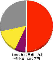 大澤造園 損益計算書 2009年12月期