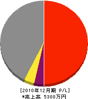 長田建築 損益計算書 2010年12月期