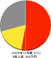 中央商事 損益計算書 2009年12月期