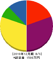 坂中組 貸借対照表 2010年12月期