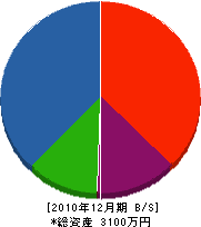 坂本建築 貸借対照表 2010年12月期