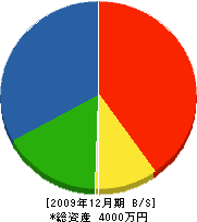 平尾建設 貸借対照表 2009年12月期